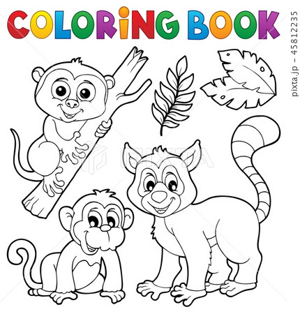 Coloring book primates and monkey 45812235