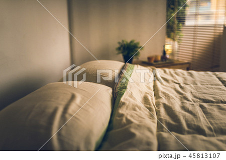 ベッドルーム ベッドルーム 45813107