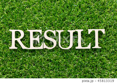 Wood alphabet in word result on  green grass 45813319