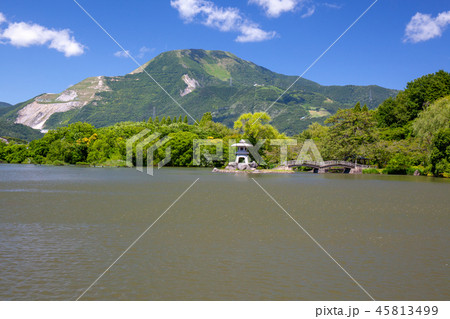 伊吹山&三島池10 伊吹山&三島池10 45813499