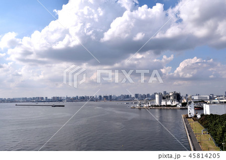 東京ベイエリア 都市風景 東京ベイエリア 都市風景 45814205