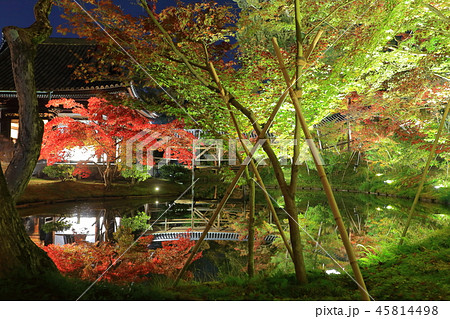 高台寺 夜間拝観の紅葉 高台寺 夜間拝観の紅葉 45814498