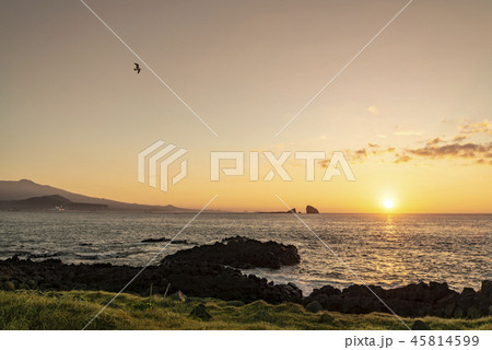 旅行 風景 屋外 45814599