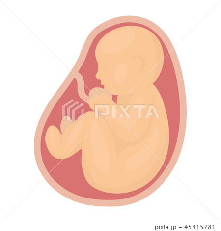 Fetus icon in cartoon style isolated on white background. Pregnancy symbol stock vector illustration Fetus icon in cartoon style isolated on white background. Pregnancy symbol stock vector illustration 45815781