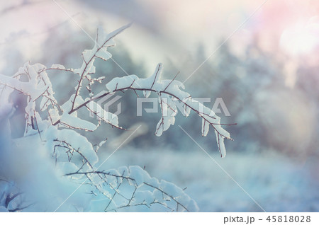 Winter season 45818028