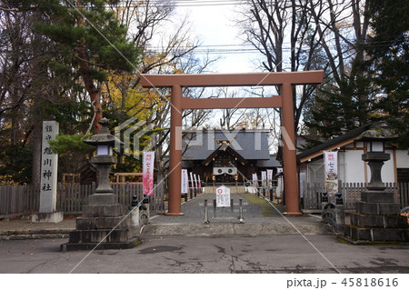 旭川神社 旭川神社 45818616