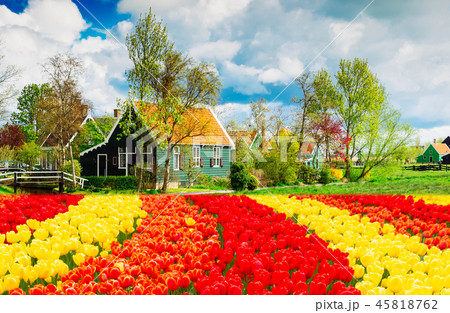 old town of Zaanse Schans, Netherlands 45818762