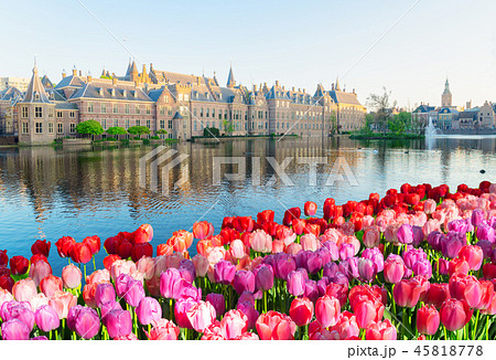Binnenhof - Dutch Parliament, Holland 45818778