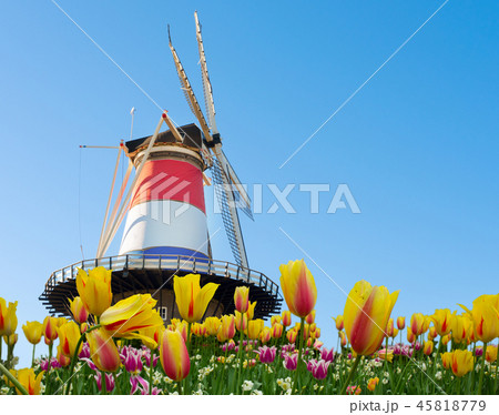 Windmill of Leiden Windmill of Leiden 45818779