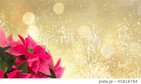 frame of pink poinsettia flower or christmas star 45818784