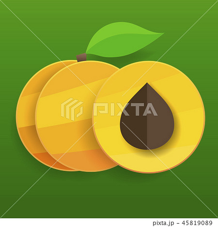 Flat apricots in section and whole with leaves. Flat apricots in section and whole with leaves. 45819089