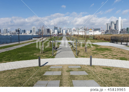 豊洲ぐるり公園と晴海ふ頭 豊洲ぐるり公園と晴海ふ頭 45819965