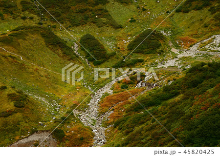 室堂 2017-9-16 #67 室堂 2017-9-16 #67 45820425