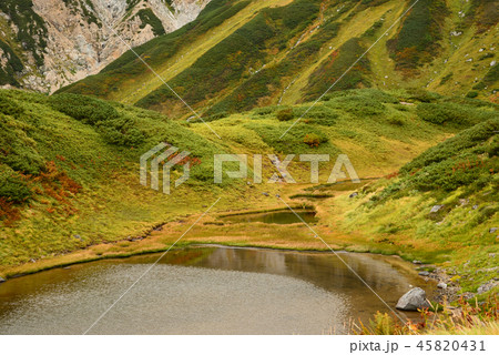 室堂 2017-9-16 #61 室堂 2017-9-16 #61 45820431