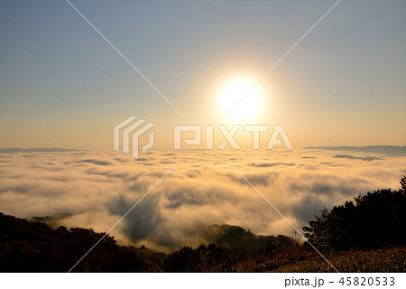大撫山 大撫山 45820533