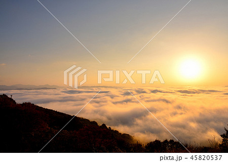 大撫山 大撫山 45820537