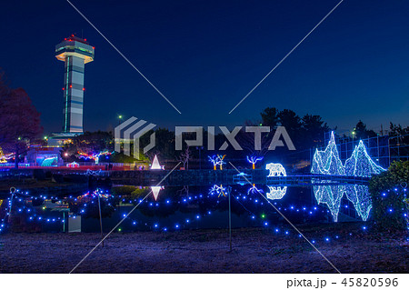 岐阜県　木曽三川公園の夜景　冬のイルミネーション 45820596