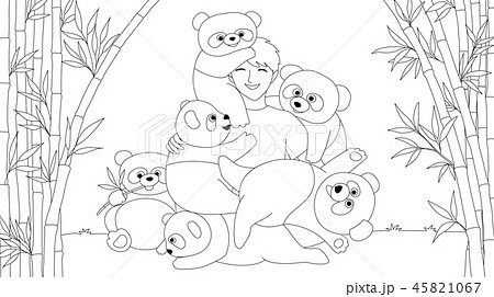 Pandas Pandas 45821067