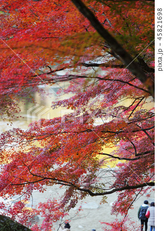 香嵐渓の紅葉 2018 香嵐渓の紅葉 2018 45821698