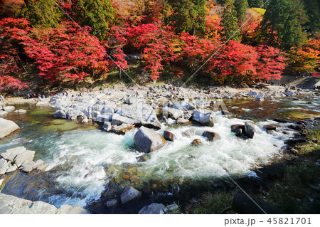 香嵐渓の紅葉 2018 香嵐渓の紅葉 2018 45821701