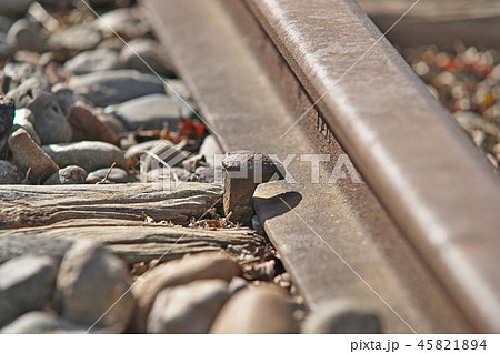 線路のレール 45821894