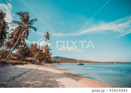 Beautiful tropical beach and sea with coconut palm tree in paradise island Beautiful tropical beach and sea with coconut palm tree in paradise island 45824993