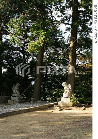 鳥取 四季の散歩 春 犬山神社 鳥取 四季の散歩 春 犬山神社 45825068