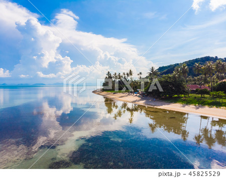Aerial view of beautiful tropical beach and sea with palm and other tree in koh samui island 45825529