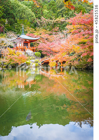 Beautiful Daigoji temple with colorful tree and leaf in autumn season Beautiful Daigoji temple with colorful tree and leaf in autumn season 45825536