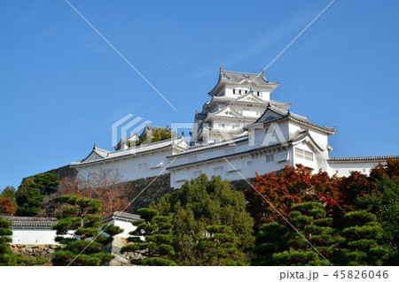 世界文化遺産の姫路城 45826046