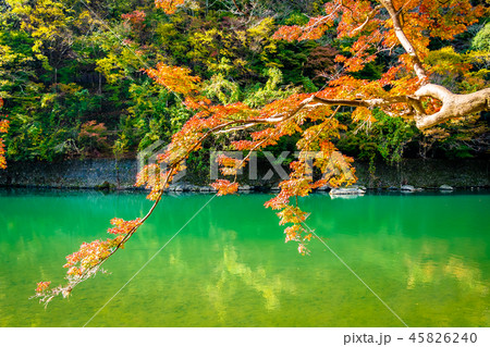 Beautiful Arashiyama river with maple leaf tree and boat around lake Beautiful Arashiyama river with maple leaf tree and boat around lake 45826240