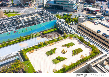 屋上庭園 45828752