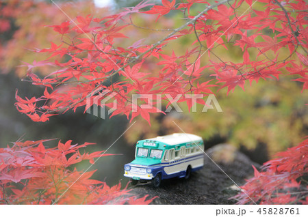 紅葉とボンネットバス 紅葉とボンネットバス 45828761