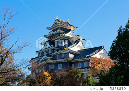 岡山城 45828850