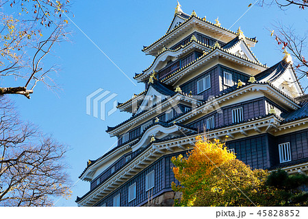 岡山城 45828852