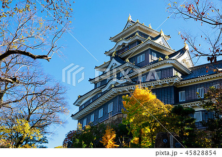 岡山城 45828854