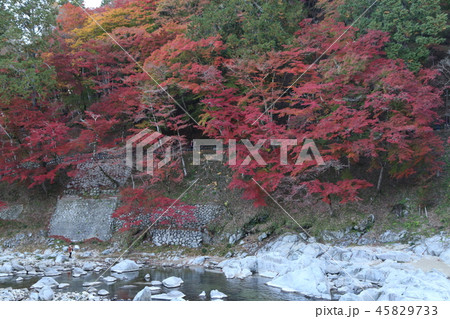香嵐渓 香嵐渓 45829733