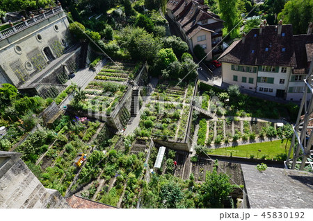 スイスの 空 春 45830192