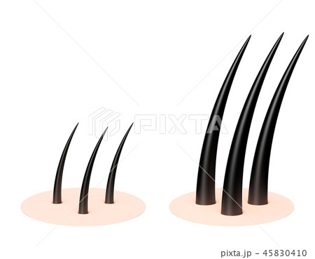 毛　髪の毛　パターン 45830410