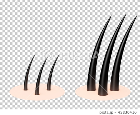 毛　髪の毛　パターン 45830410