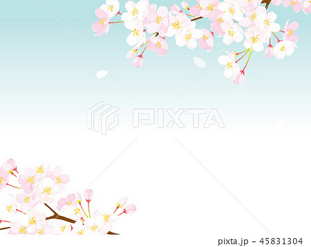 桜 背景イラストのイラスト素材 45831304 Pixta