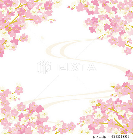 桜 背景イラストのイラスト素材