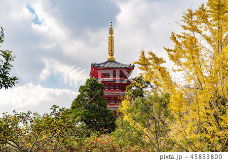 基山町 本福寺 五重塔 基山町 本福寺 五重塔 45833800