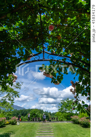 軽井沢　風のガーデン 45834179