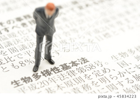 生物多様性基本法イメージ 生物多様性基本法イメージ 45834223