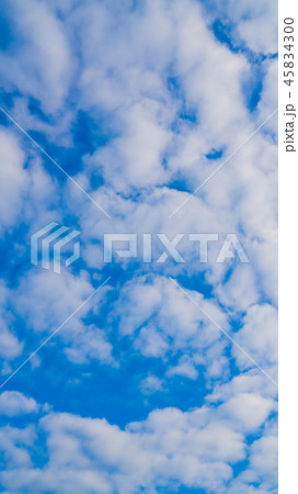 11月の空（縦） 45834300