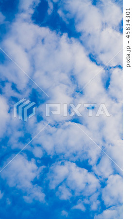 11月の空（縦） 45834301