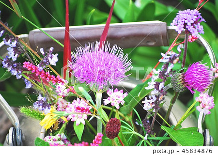 やかんに摘んだ秋の野の花 45834876