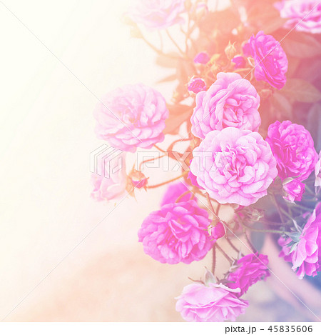 Beautiful flowers. Beautiful flowers. 45835606