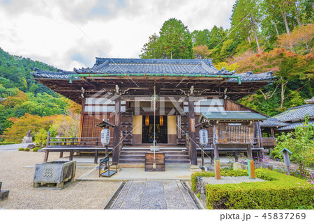 京都　善峯寺　釈迦堂 45837269